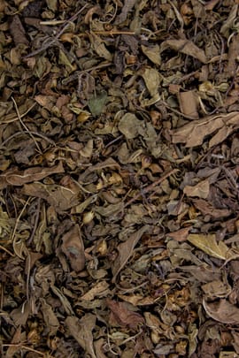 Tulsikraut Tropfen - Tinktur