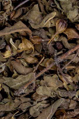 Tulsikraut Tropfen - Tinktur