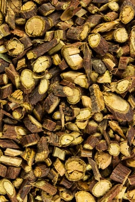 Vielblütiger Knöterichstengel