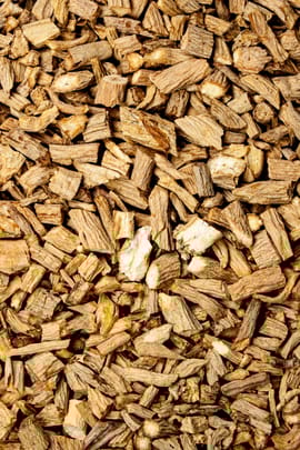 Vogelmierenwurzel Salbe