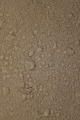 Walnussschalenpulver