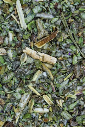 Wasserminzenkraut Salbe