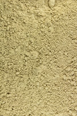 Wegwartenwurzelpulver