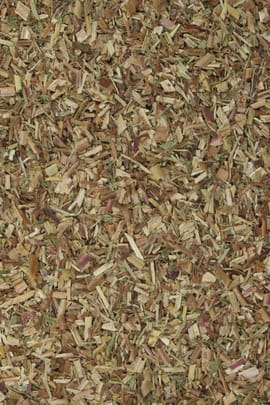 Weidenröschen, kleinblütig