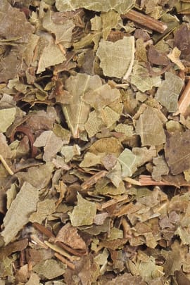 Weinblätter