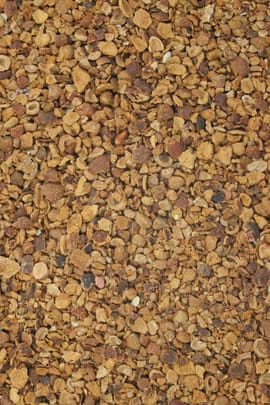 Weißdornfrüchte geschnitten