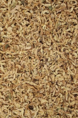 Weiße Taubnesselblüten