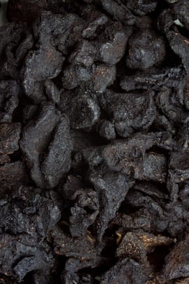 Sibirischer Weißwurzwurzelstock, vorbehandelt Tropfen - Tinktur