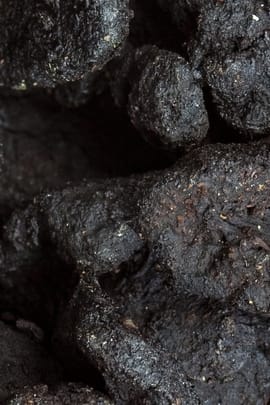 Sibirischer Weißwurzwurzelstock, vorbehandelt Salbe
