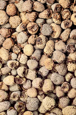 Chinesische Himbeerfrüchte Salbe