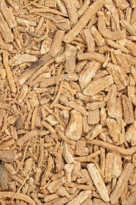 Windschutzwurzel Salbe