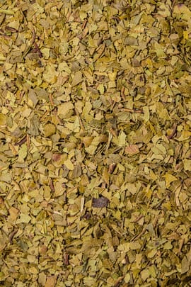 Zitronenmyrtenblätter