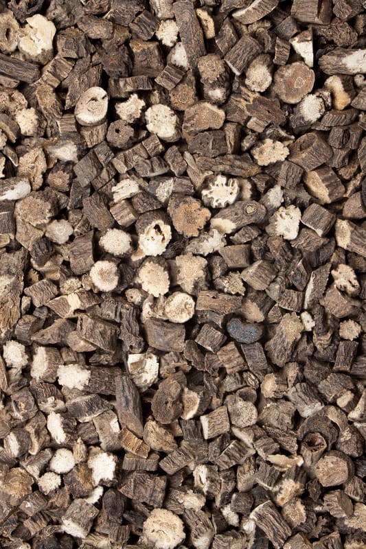 Curculigowurzelstock