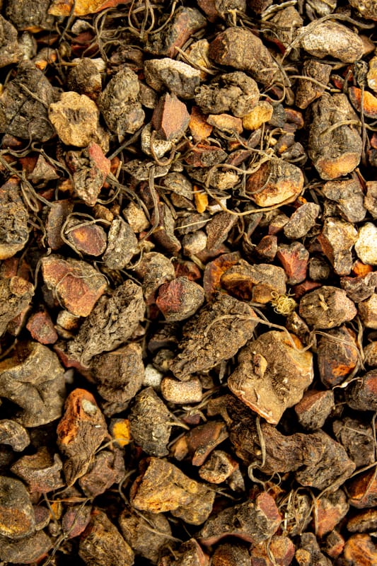 Kanadische Blutwurz Salbe