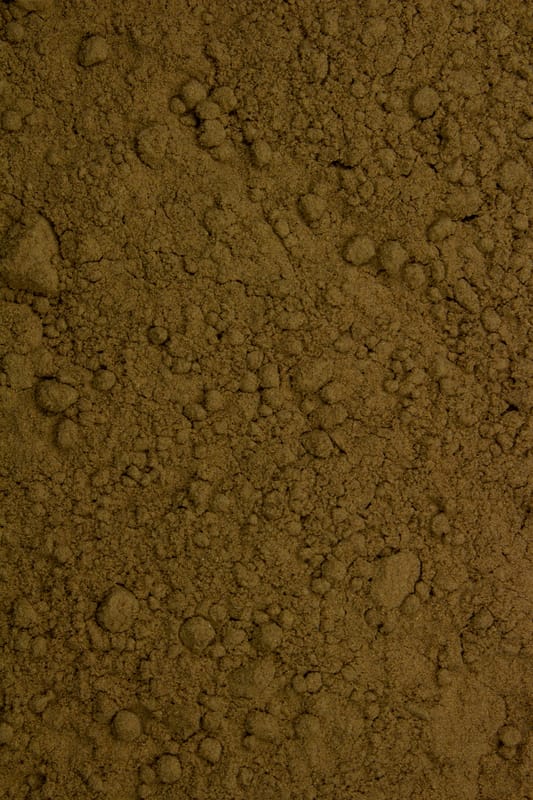 Mandelpilz Pulver Tropfen - Tinktur