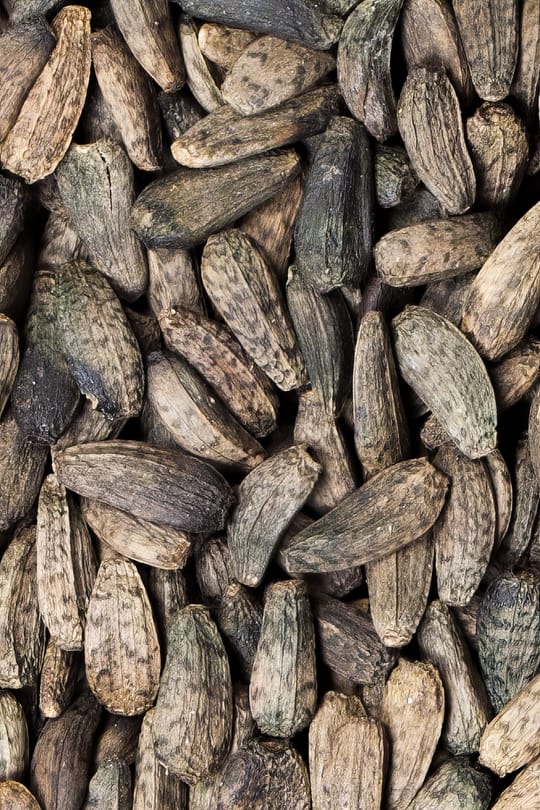 Astragalussamen Salbe