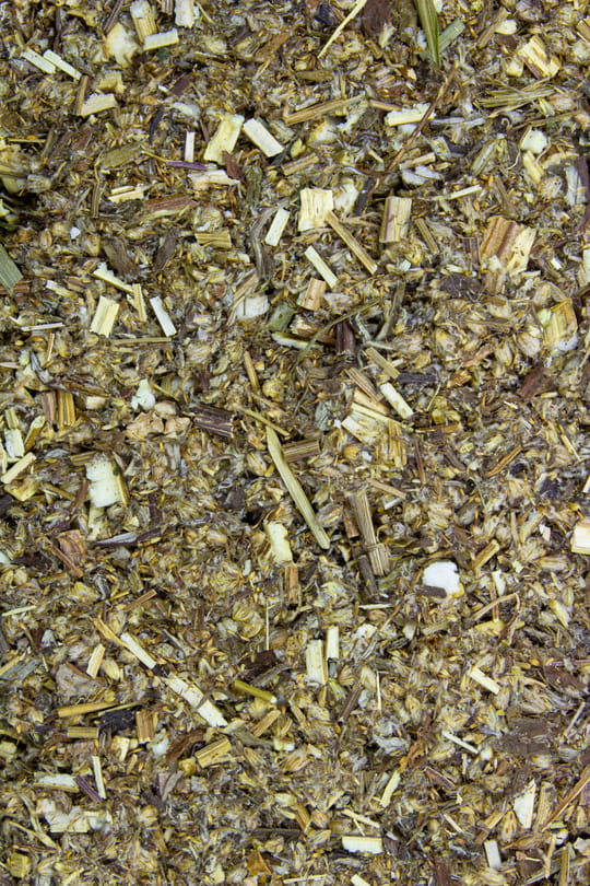 Beifusskraut