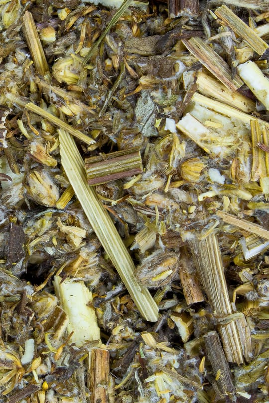 Beifusskraut