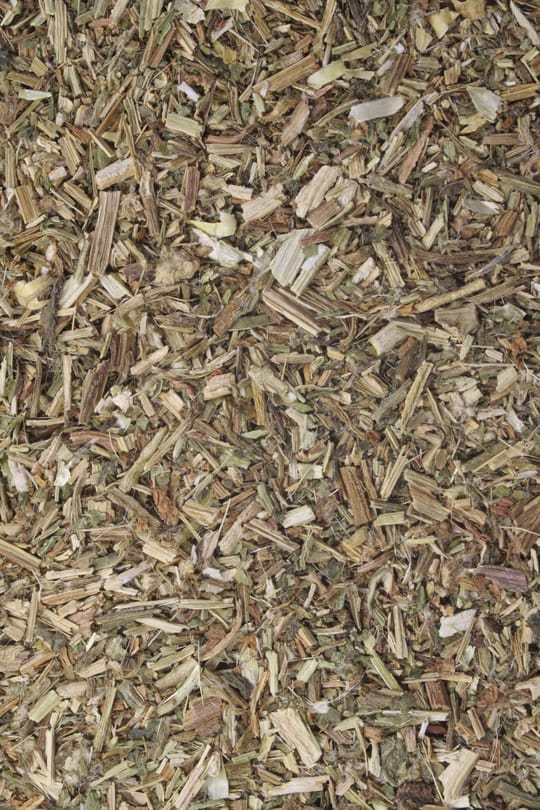 Benediktenkraut