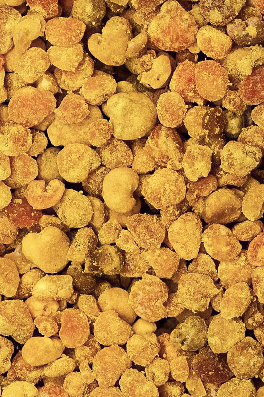 Blütenpollen