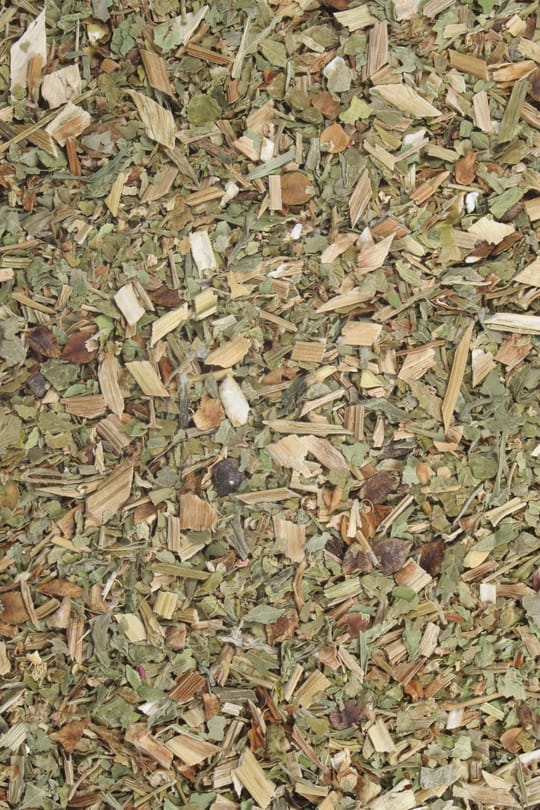 Buchweizenkraut