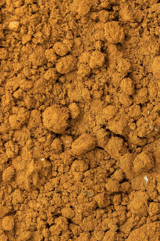 Chaga pulv. Tropfen - Tinktur