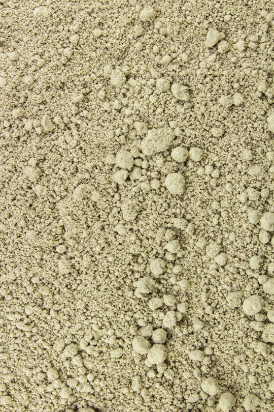 Coriolus Tropfen - Tinktur