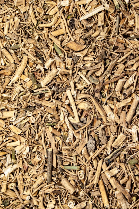 Weidenblättrige Schwalbenwurz