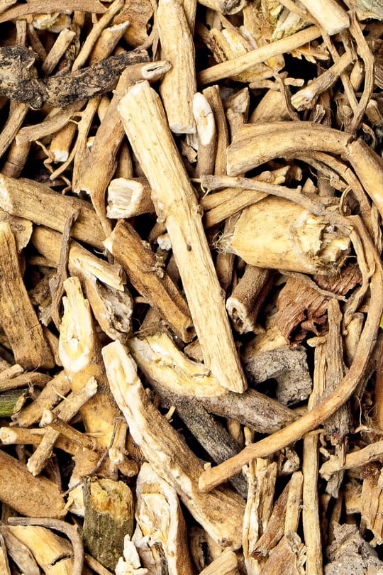 Weidenblättrige Schwalbenwurz