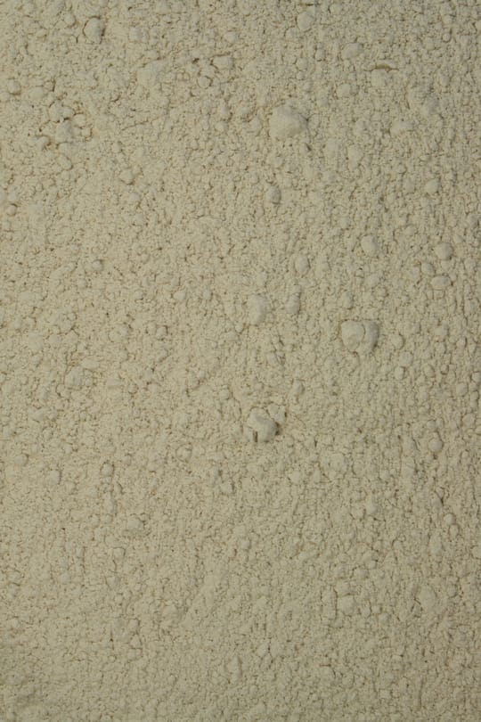 Flohsamenschalenpulver