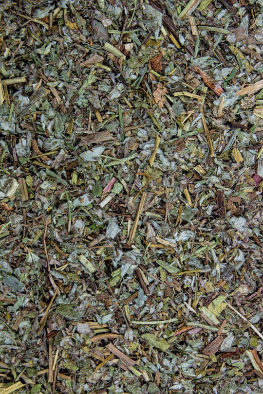 Gänsefingerkraut