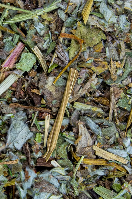 Gänsefingerkraut