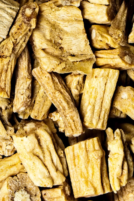 Glockenwindenwurzel