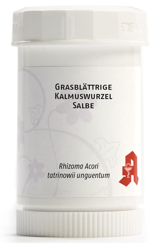 Grasblättrige Kalmuswurzel Salbe