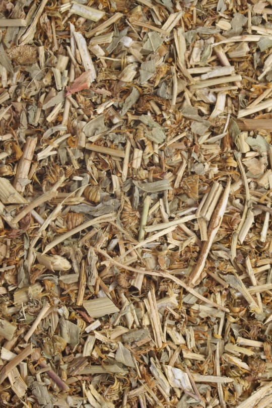 Grindeliakraut