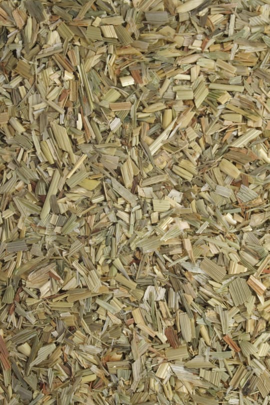 Grüner Hafertee
