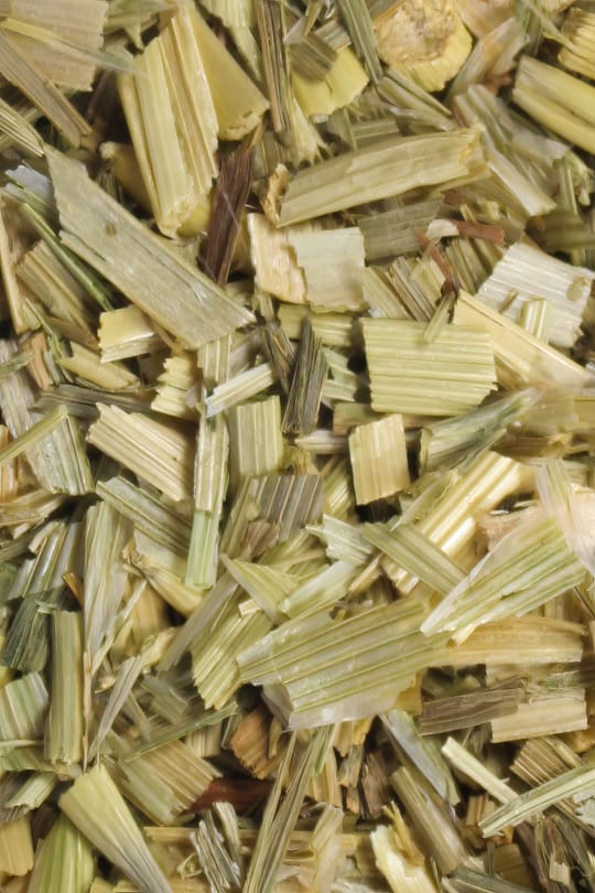 Grüner Hafertee