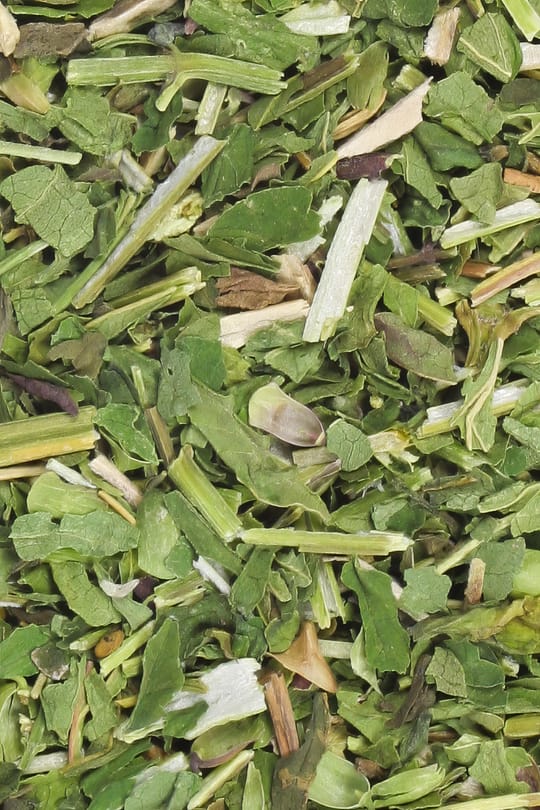 Helmkraut Tropfen - Tinktur