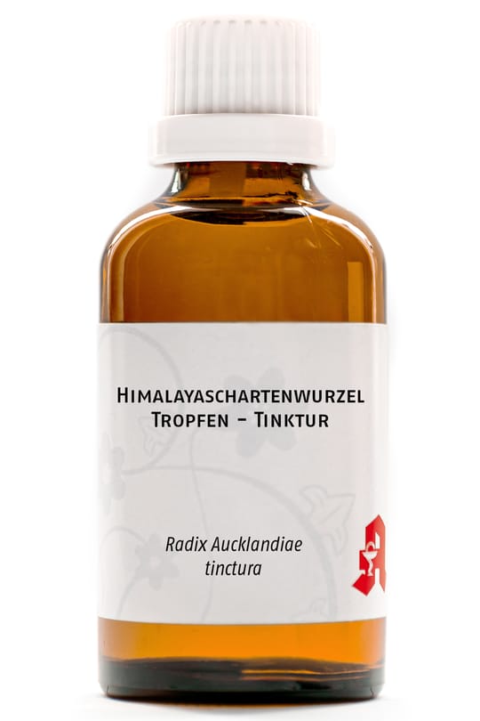 Himalayaschartenwurzel Tropfen - Tinktur
