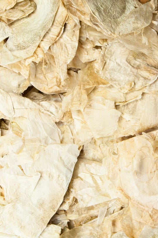 Holzschmetterlingssamen