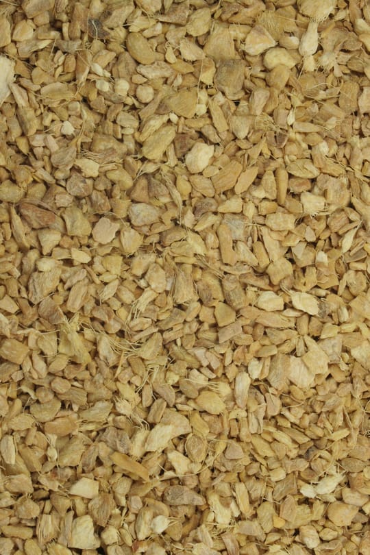 Ingwerwurzel