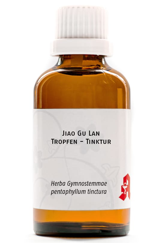 Jiao Gu Lan Tropfen - Tinktur