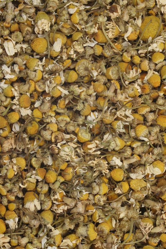 Kamille