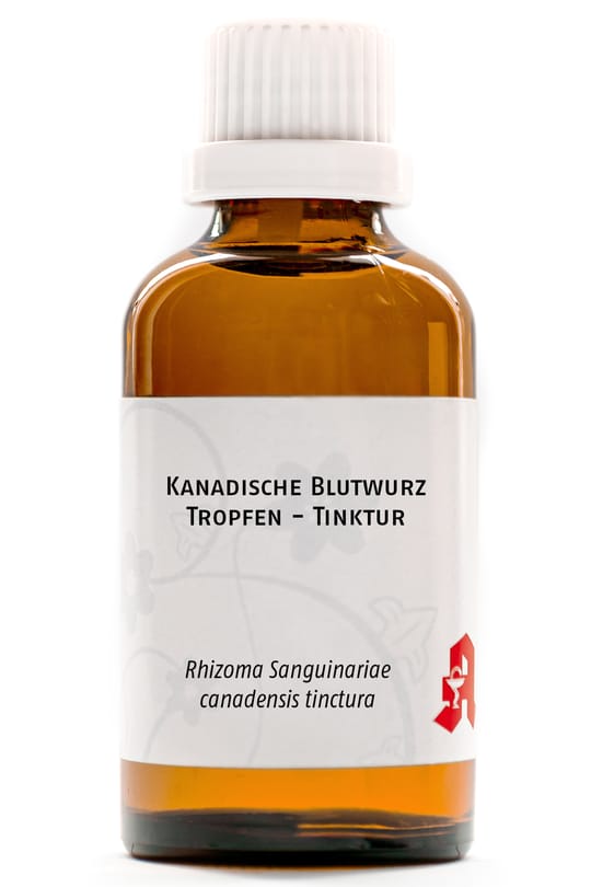 Kanadische Blutwurz Tropfen - Tinktur
