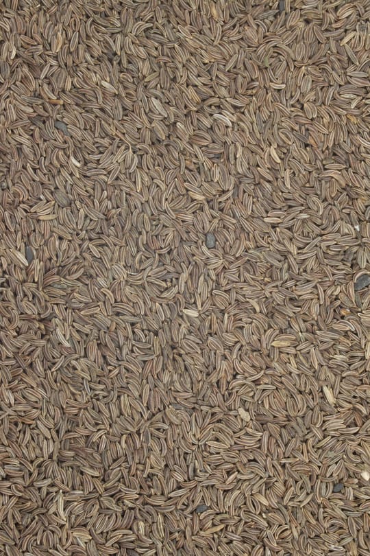 Kümmel
