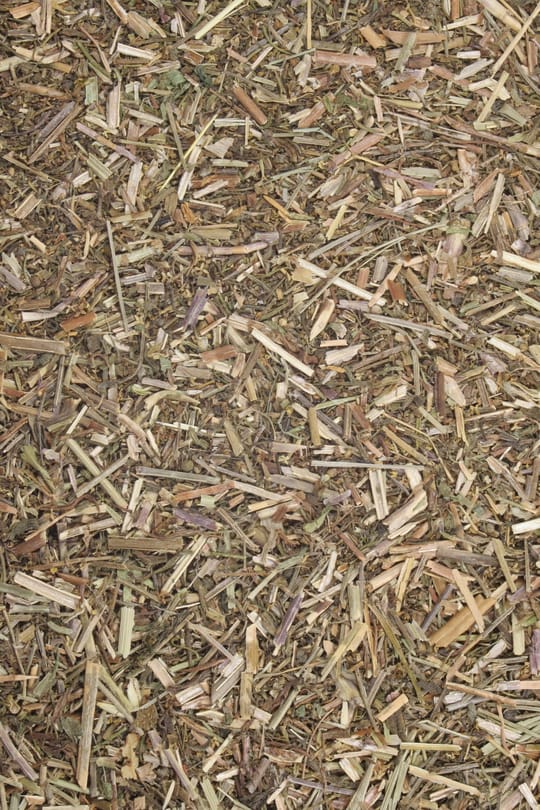Labkraut Salbe