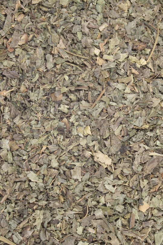 Mariendistelkraut