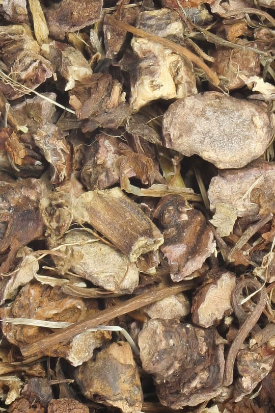 Nelkenwurzwurzel Salbe