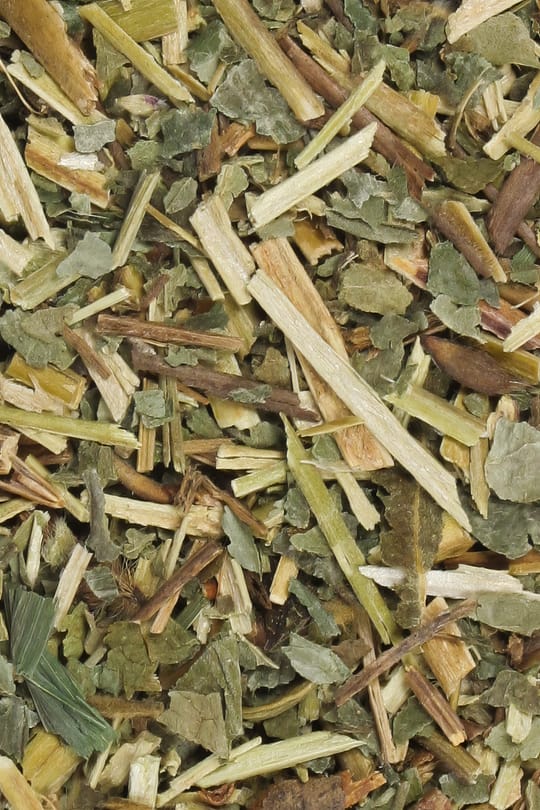Nelkenwurzkraut
