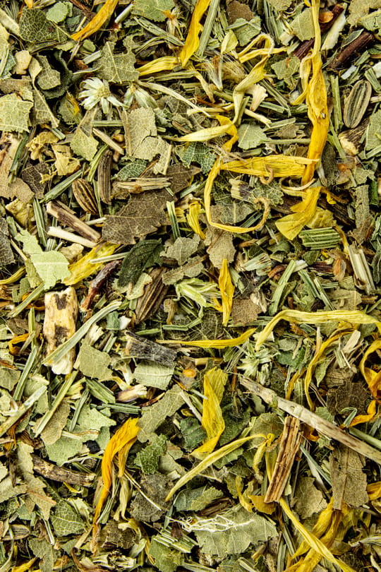 Blasen- u. Nierentee III 80g